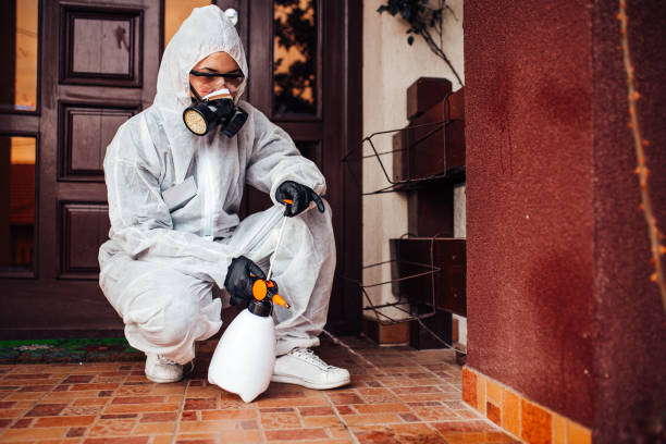Reliable Cockroach Control contractor in Fort Deposit, AL by Nex Pest Control